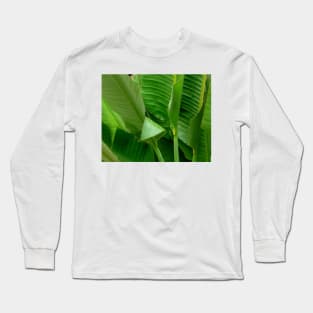 Banana Leaves Long Sleeve T-Shirt